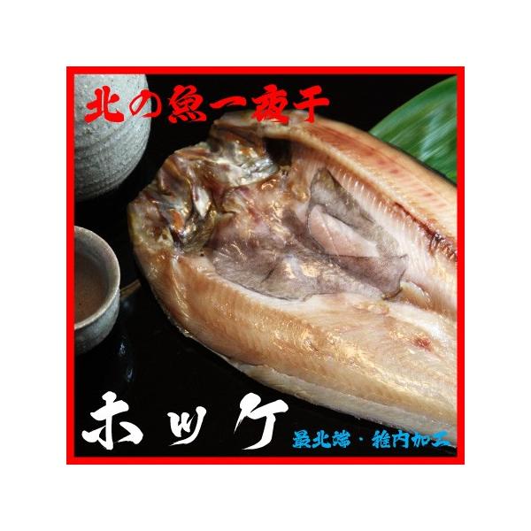  銱 ق CY  k̋ zbP J 1 kC @J t  Ε a v[g j Mtg O 蕨