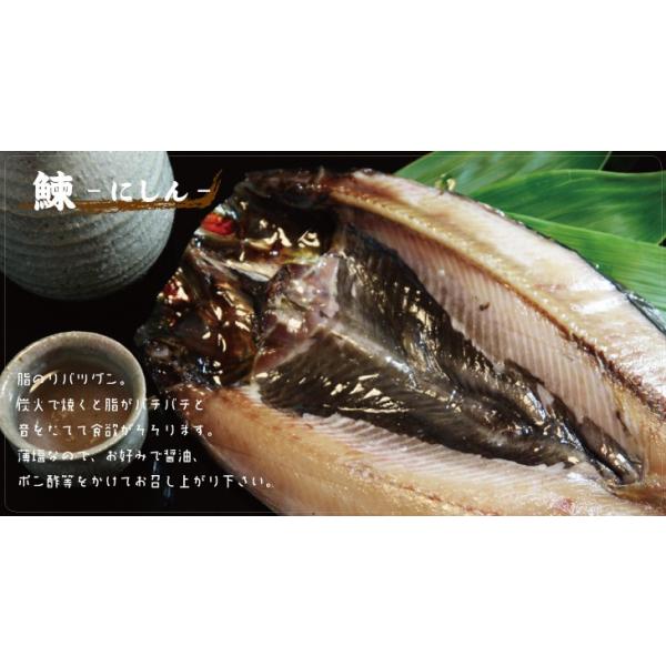 干物 一夜干し ニシン 海産物 真空 北の魚 鰊 にしん 開き 1枚入 Buyee Buyee 日本の通販商品 オークションの代理入札 代理購入
