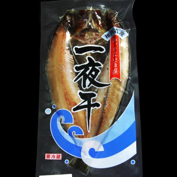 干物 一夜干し ニシン 海産物 真空 北の魚 鰊 にしん 開き 1枚入 Buyee Buyee 日本の通販商品 オークションの代理入札 代理購入