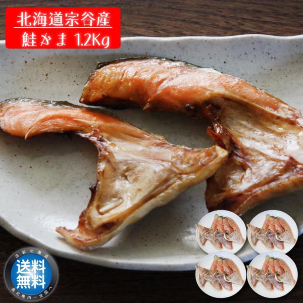 オホーツク海の日本最北端「宗谷岬」沖で捕獲した安心・安全・北海道産の天然秋鮭のカマを真空包装致しました。確かな”天然もの”の美味しさをご賞味ください。