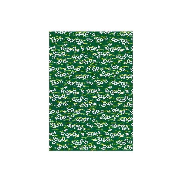 FN₩ȗFT㎆@No.20@i΁j@10