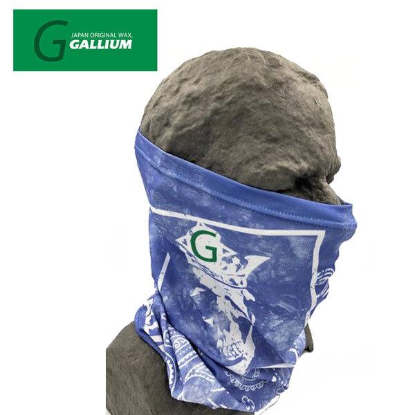 KE GALLIUM lbNK[^[Dry SKULL BLUEyCY[