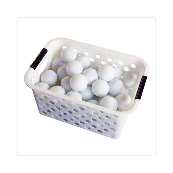 tijbNXj Q[X^[@v{[(60)