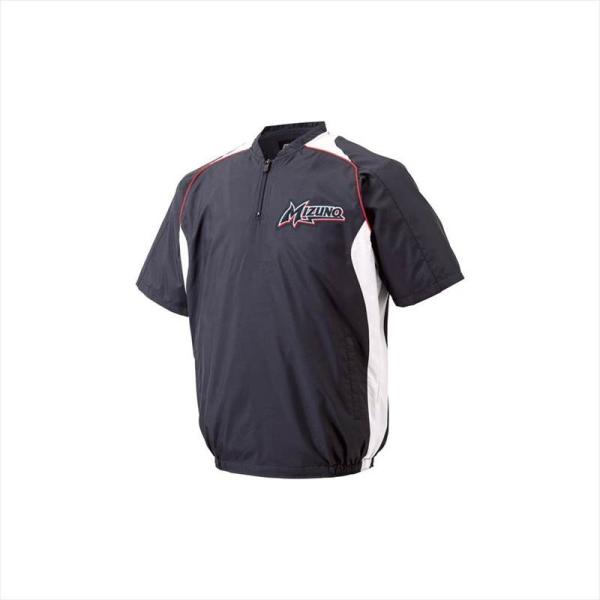 kasukawa_ksp2-12je4v4114