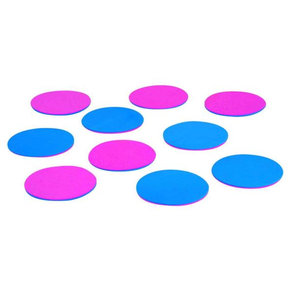 エバニュー EVERNEW ETE092 屋内スポーツリバーシ(10枚組) : カスカワ