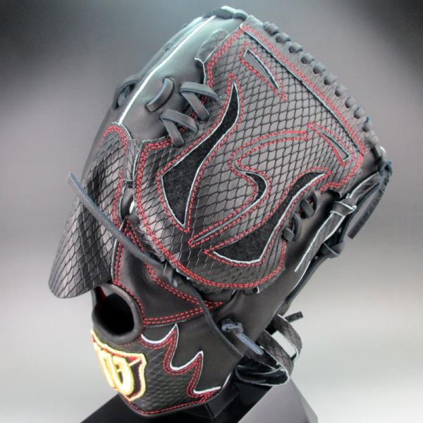 kasukawa_wilsonorder17-blk