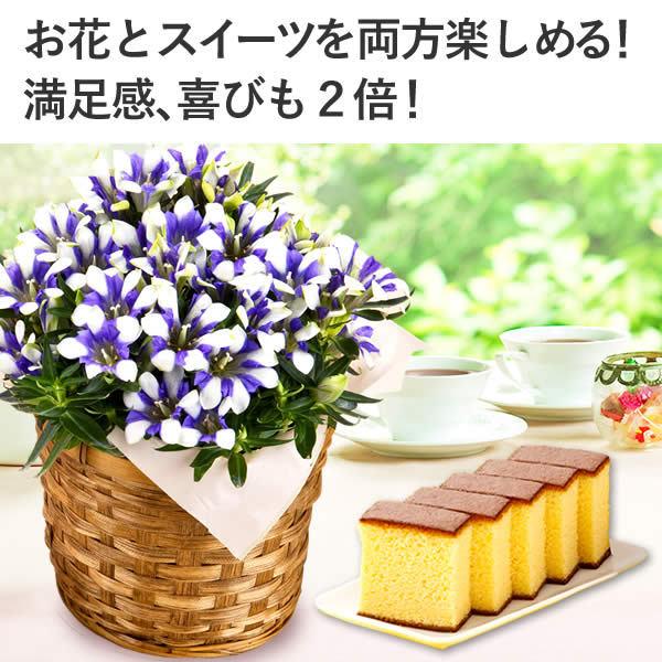 母の日 プレゼント 花 カーネーション 21 ギフト 花とお菓子 鉢植え プリザーブドフラワー ハーバリウム 花束 カステラ 0 5号 花とスイーツ Md12 Buyee Buyee Japanese Proxy Service Buy From Japan Bot Online