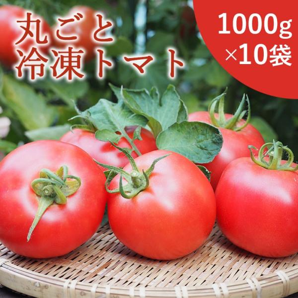 業者の方向けです。最低ロットは10kg（1kg×10パック）