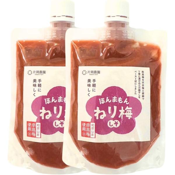 ねり梅 しそ 200g×2  無添加 チューブ ほんまもんねり梅 減農薬 紀州南高梅  梅肉 甘くない キャップ付き