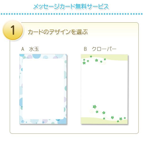 快気祝い カタログギフト クルール プリュヌコース お見舞いお返し Buyee Buyee Japanese Proxy Service Buy From Japan Bot Online