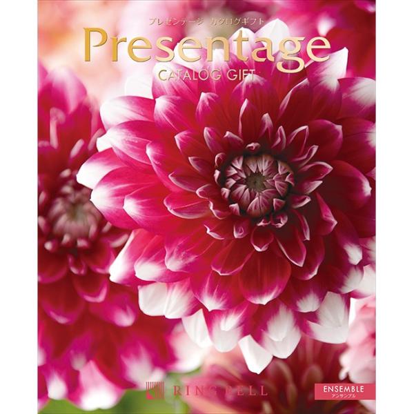 J^OMtgbv[e[W@ATuR[Xbj@oY@@C@j@Ԃ@TԂ@