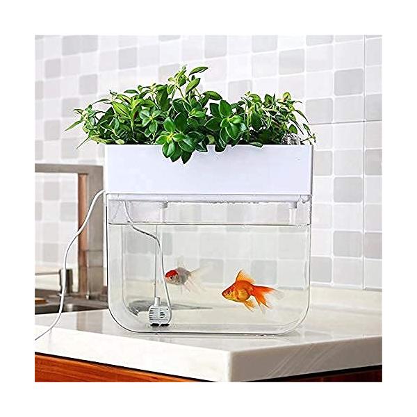おしゃれ アクアリウム アクアポニックス 水耕栽培システム 有機セルフ給水プランタ 魚 植物 ongolia 飼育 栽培