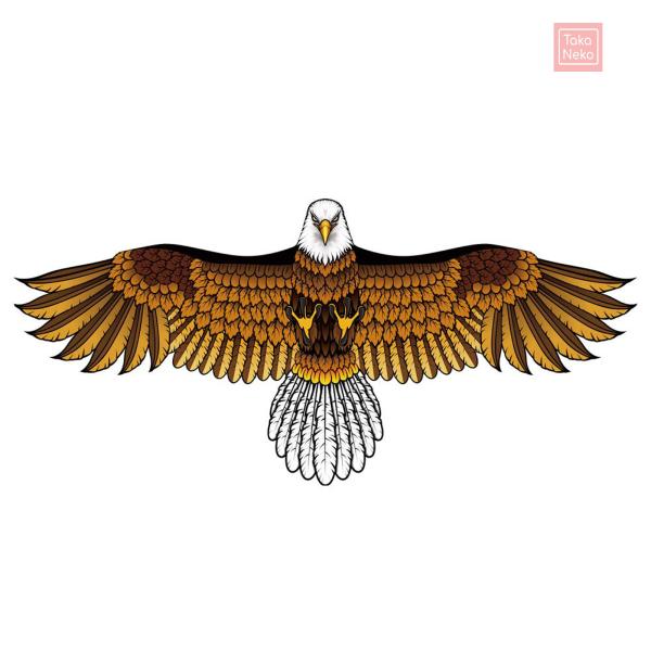 【迫力あり】白頭鷲外見のカイトで、飛ぶ姿は本物に見える迫力があり、休日に凧揚げに行き、ストレス解消に役立ちます。凧のサイズは160cm×85cmで、空に舞う姿が目立ちます。【高品質と超耐久】 全ては無毒素材で製造され、安心できます。ロッド（...