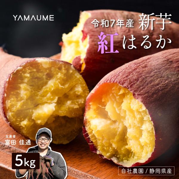 【原材料名】静岡県産 紅はるか【アレルギー表示】なし【賞味期限】出荷後30日【ご注意】自然の物になりますので、稀に割れ・欠けが存在します。品質や味には問題ございませんので、安心してお召し上がりください。【さつまいもの保存方法】さつまいもは水...