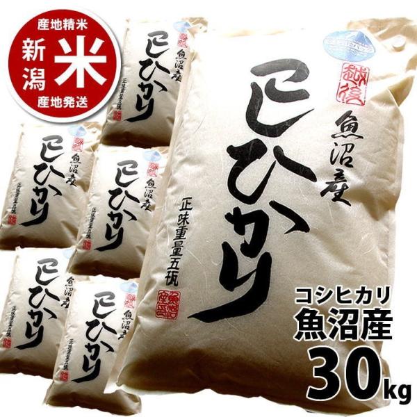 まとめ買い割引】コシヒカリ 30kg 魚沼産 令和6年度産 新潟米 まとめ買い割引】コシヒカリ 30kg 魚沼産 令和6年度産 新潟米