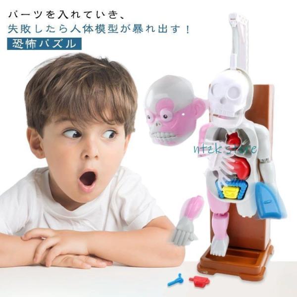 復元パズル おもちゃ 人体模型 ハロウィンパーティーおもちゃ 恐怖!ドキドキクラッシュ ゾクッ人体模型 おもしろい理科教室 電池式 ホラーグッズ 立体