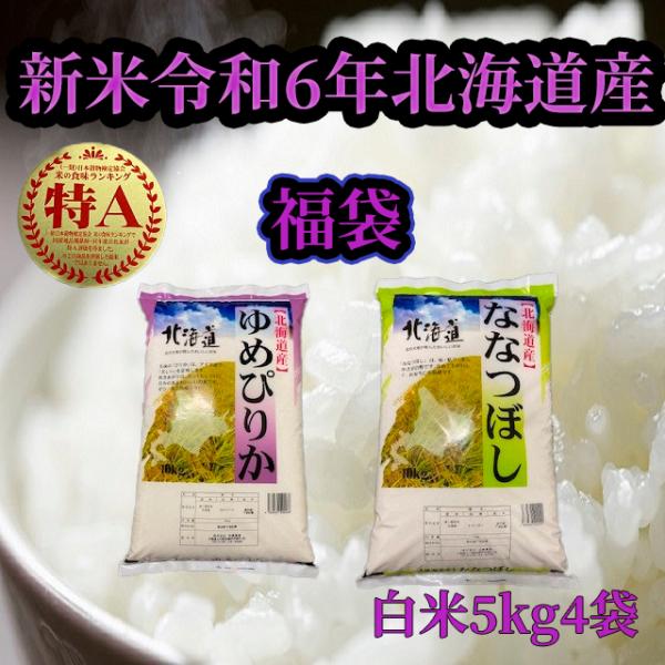 ゆめぴりか 福袋20kg 令和7年度産北海道米 送料無料5kg×4袋 白米ゆめ
