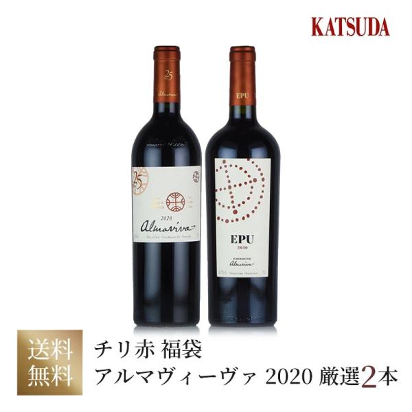 ワインセット チリ最高峰のワイン《アルマヴィーヴァAlmaviva 2020 