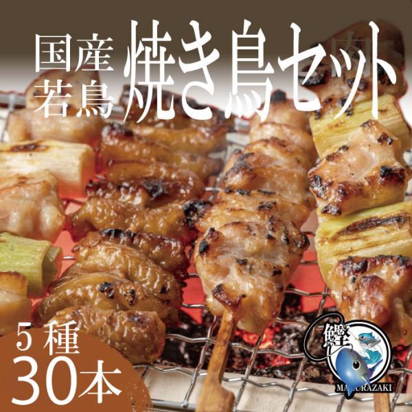 ギフト国産 若鳥 やきとり 鳥串 5種30本 焼き鳥セット（鶏モモ串 ネギ