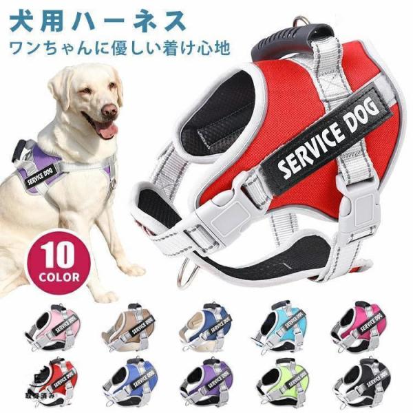 犬 ハーネス 名前 胴輪 名入れ 小型犬 中型犬 大型犬 簡単装着 ハンドル付き 頑丈 抜けない 脱げない ペット用ハーネス ネーム 柔らかい 通気性 ペット お散歩