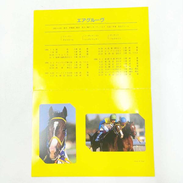 [タイプ] PRC 限定発売 エアグルーブ 引退記念 FOREVER テレホンカード[状態] 未使用品