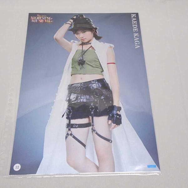 [タイプ] 加賀楓 ピンナップポスター「モーニング娘。誕生20周年記念コンサートツアー2018春 We are MORNING MUSUME。」 NO.12[状態] ほとんど使用されておらず、美品です。