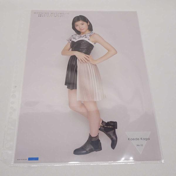 [タイプ] 【加賀楓・12】 ピンナップポスター ピンポス シリイベ 「邪魔しないで Here We Go!/ 弩級のゴーサイン/ 若いんだし!」[状態] ほとんど使用されておらず、美品です。