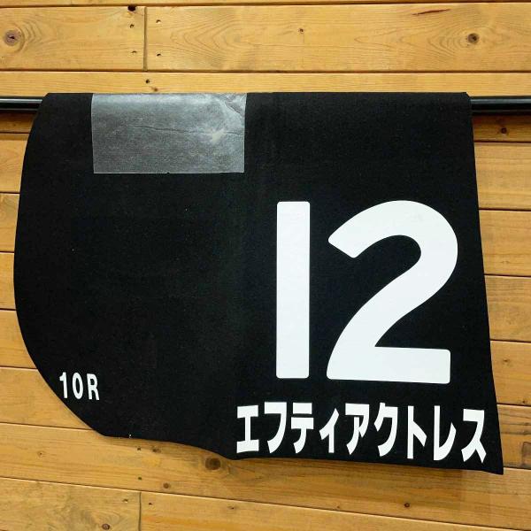 【中古】エフティアクトレス ゼッケン 丹内祐次 福島2歳S JRA 競馬 レース 実使用