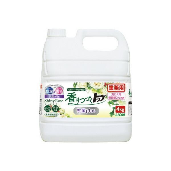 CInCW[ ƖpÂgbvRۂ@S×R