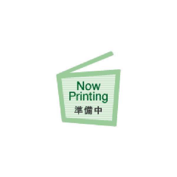 オキナ 原稿用紙　Ｂ４　平版　大マス　２４０字
