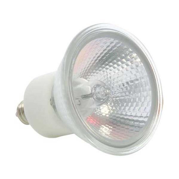 ウシオライティング 電球 ダイクロハロゲンランプ 30W 狭角 E11