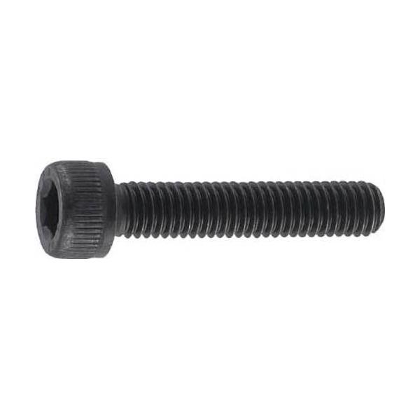 \25N121013܂_gXRR Zpt{g@ߑSlW@TCYlW×PT_񏤕i