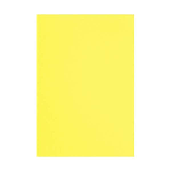 カウネット 色画用紙　八つ切　レモン　１０枚