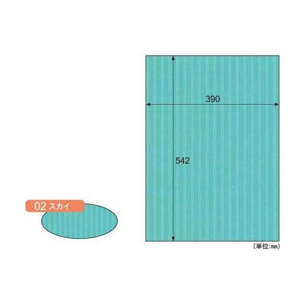 \25N121013܂_qTS bv{[h@aR{@XJC@R_񏤕i