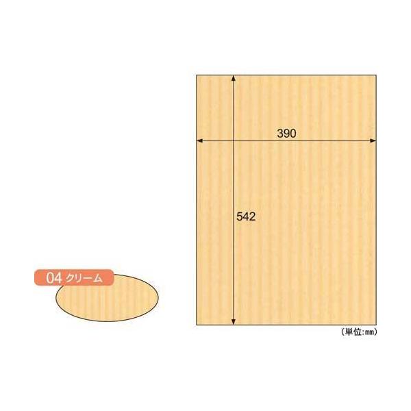 \25N121013܂_qTS bv{[h@aR{@N[@R_񏤕i