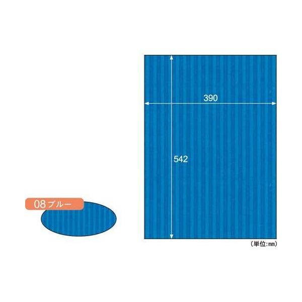 \25N121013܂_qTS bv{[h@aR{@u[@R_񏤕i