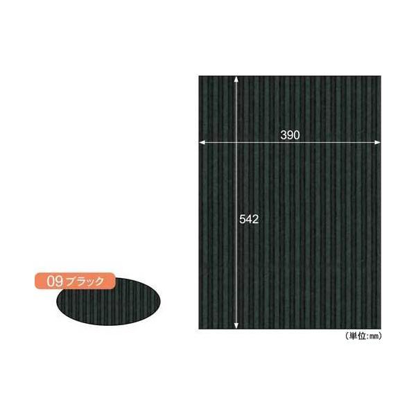 \25N121013܂_qTS bv{[h@aR{@ubN@R_񏤕i