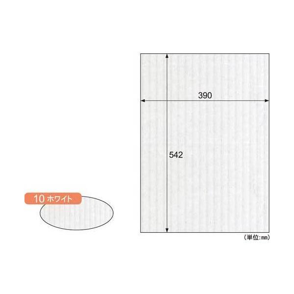 \25N121013܂_qTS bv{[h@aR{@zCg@R_񏤕i