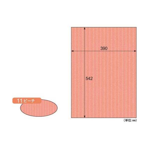 \25N121013܂_qTS bv{[h@aR{@s[`@R_񏤕i