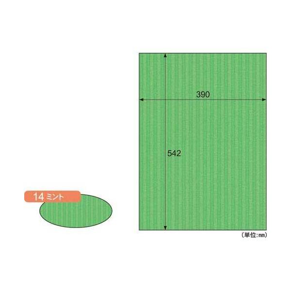 \25N121013܂_qTS bv{[h@aR{@~g@R_񏤕i