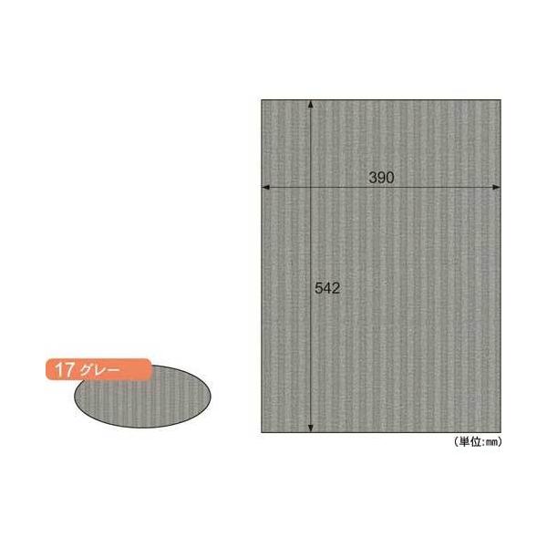 \25N121013܂_qTS bv{[h@aR{@O[@R_񏤕i