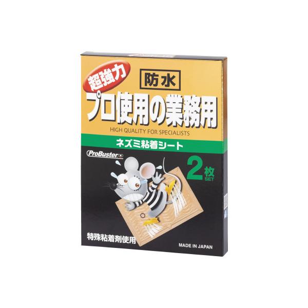 rghl`c` voX^[@lY~SV[gQ@h^Cv