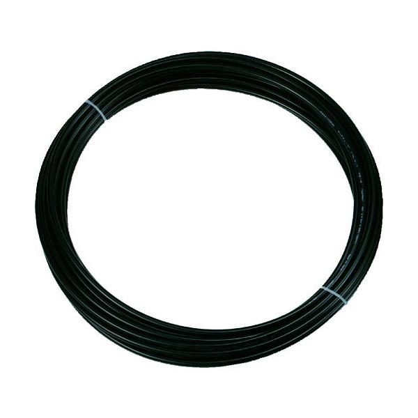 \25N121013܂_gXRR |E^`[uWwTDOPO_񏤕i