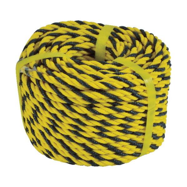 \25N121013܂_gXRR g[vRłX×RO_񏤕i