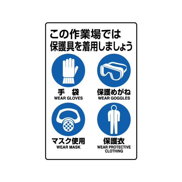 \25N120913܂_jbg ihrKiW@یpWW_񏤕i