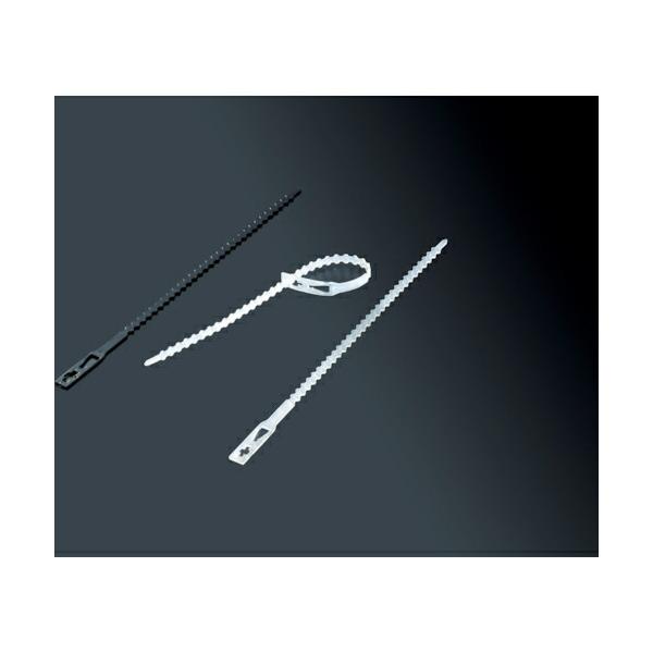 \25N120813܂_gXRR R[hXgbv@vksQRO_񏤕i