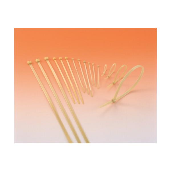 \25N120813܂_w}^Cg lr^CQDT×POOPOO{gp_񏤕i