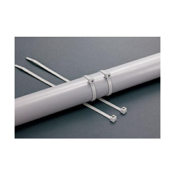 \25N120813܂_w}^Cg CVbN^C@`aQOOfqx_񏤕i