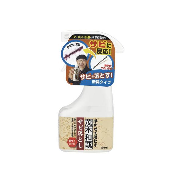 レック 茂木和哉　サビ落とし