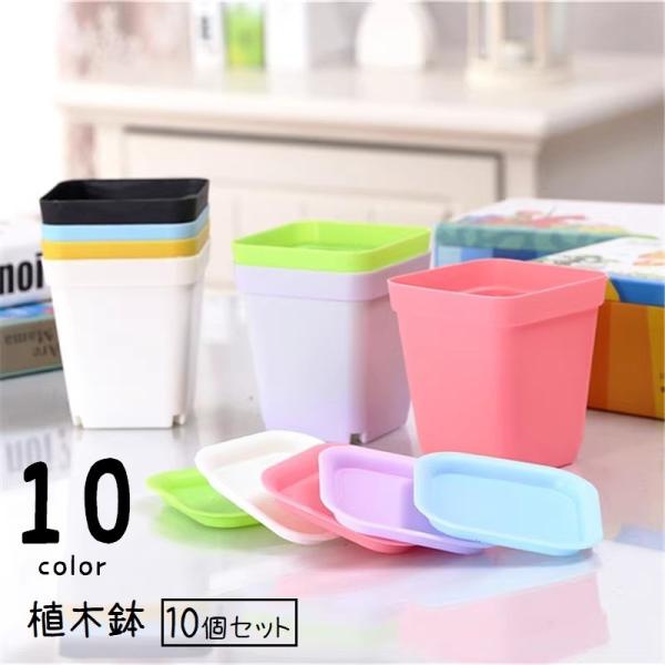 プラスチック製の小さな植木鉢、同色10個セットです。受け皿付きで、多肉植物や観葉植物に◎10種類のカラーからお選びください。【サイズについて】画像をご参照ください。【素材について】PP【カラーについて】生産ロットにより柄の出方や色の濃淡が異...